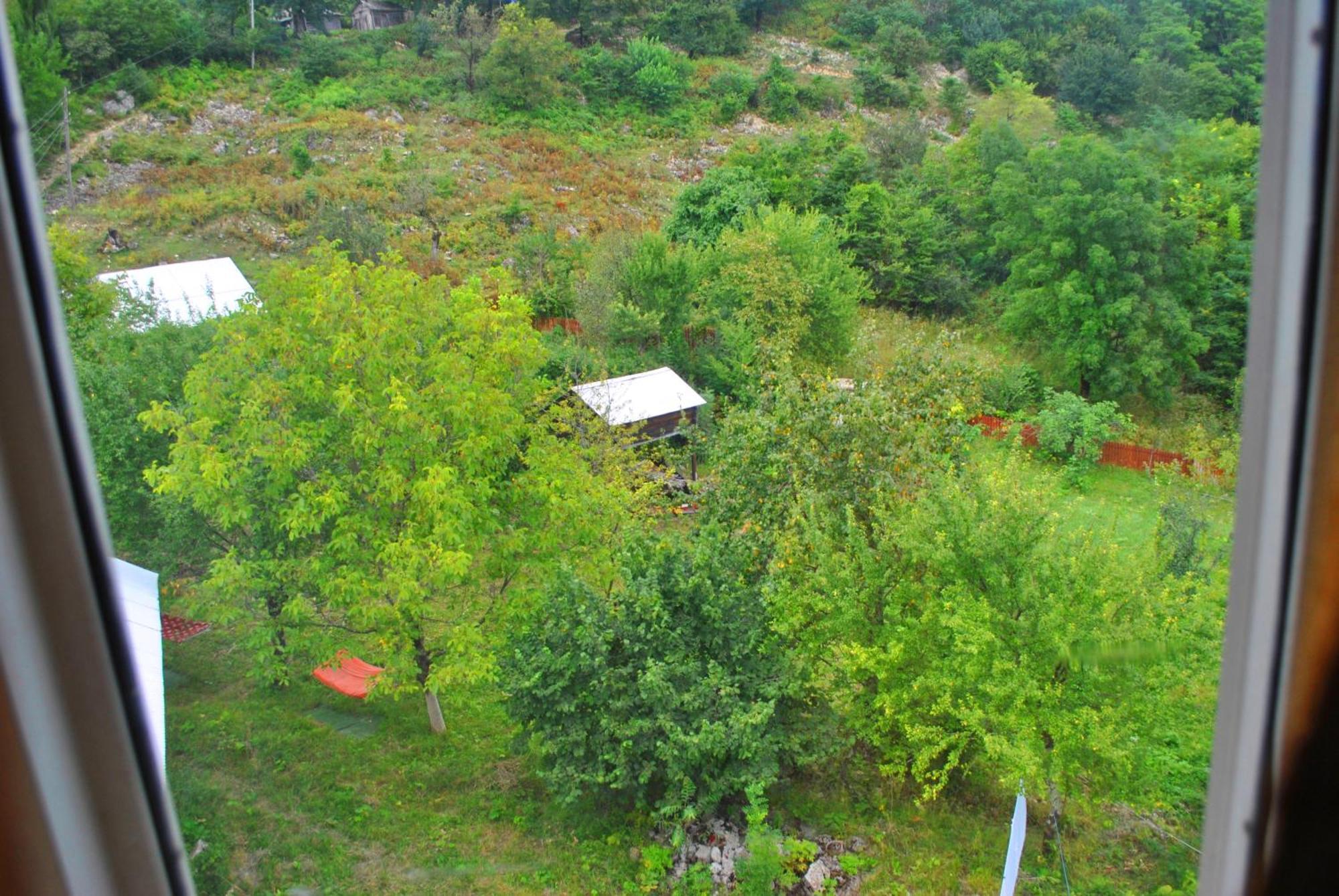Discover Kinchkha Satsiskvilo Стая снимка