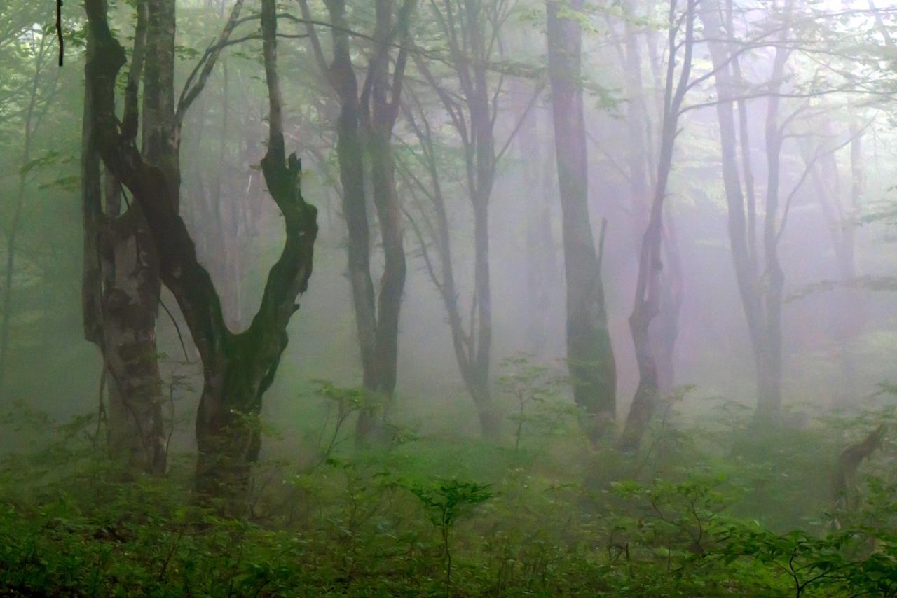 Discover Kinchkha Satsiskvilo Екстериор снимка