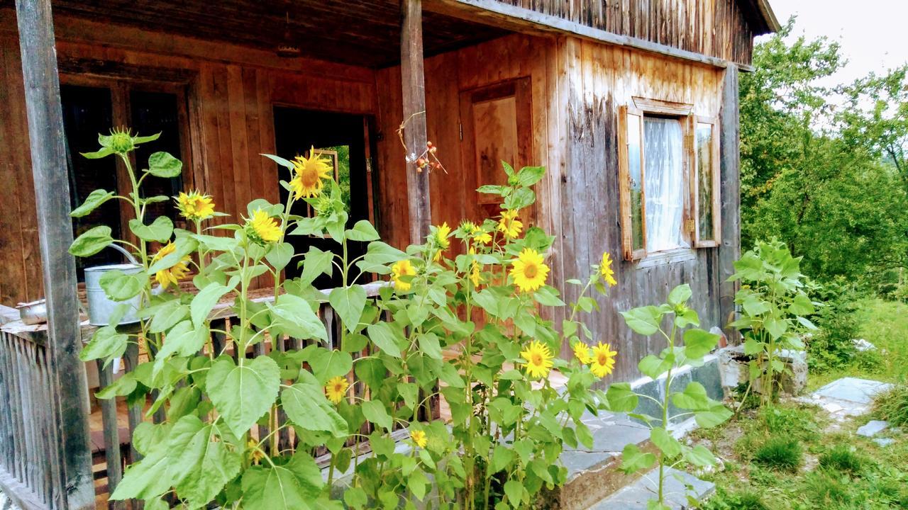 Discover Kinchkha Satsiskvilo Екстериор снимка