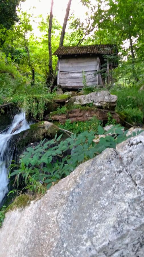 Discover Kinchkha Satsiskvilo Екстериор снимка